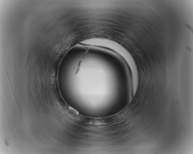 X0000099400559200805151708