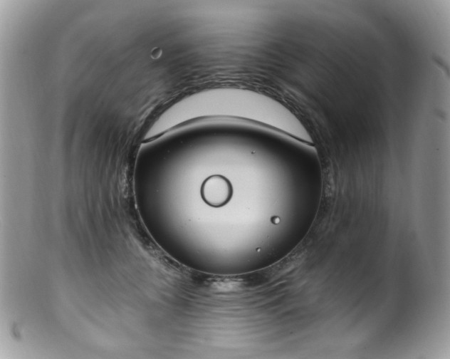 X0000099400560200805151708