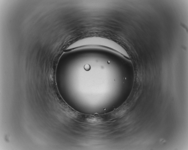 X0000099400561200805151708