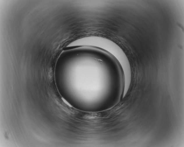 X0000099400563200805151708