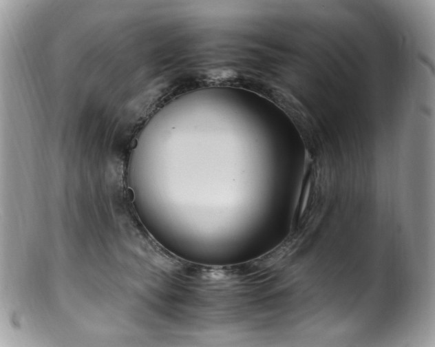 X0000099400565200805151708