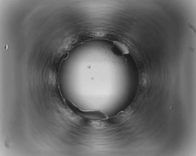 X0000099400568200805151708