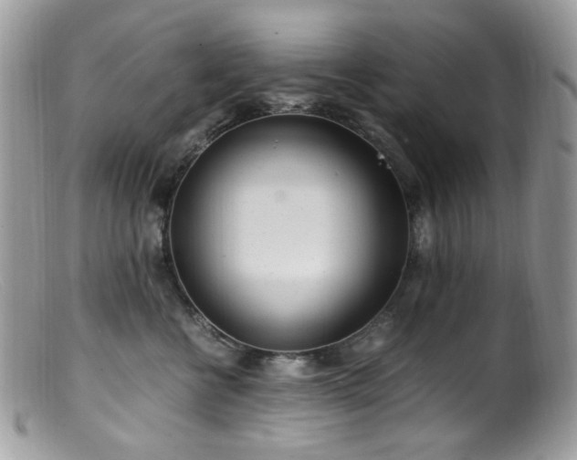 X0000099400570200805151708