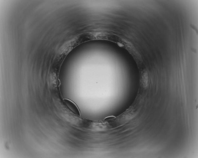 X0000099400571200805151708