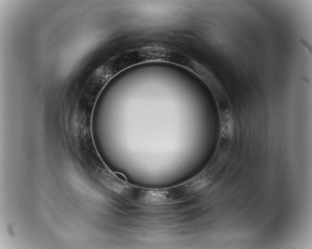 X0000099400573200805151708