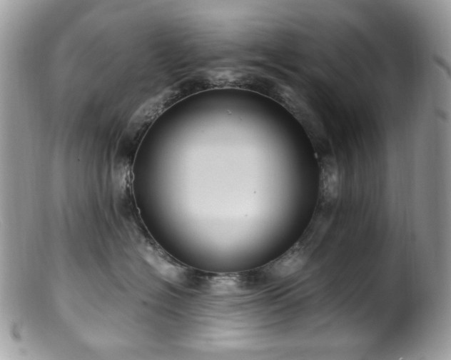 X0000099400574200805151708