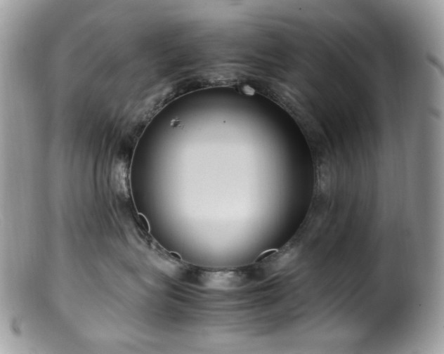 X0000099400575200805151708