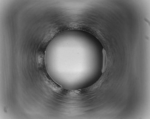 X0000099400576200805151708