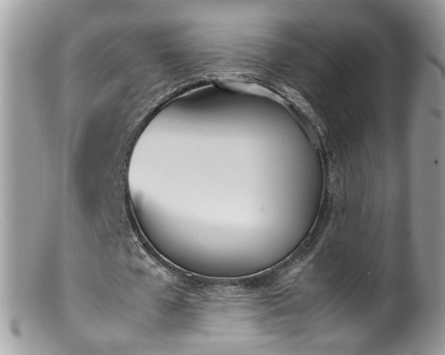 X0000099400577200805151707