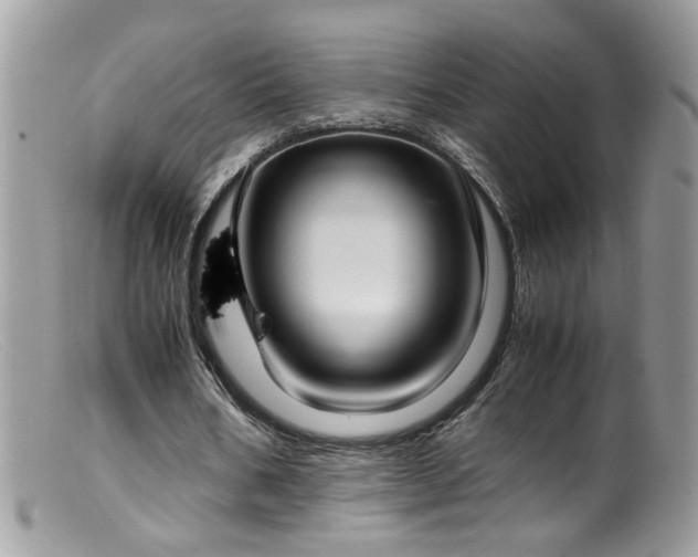 X0000099400578200805151707