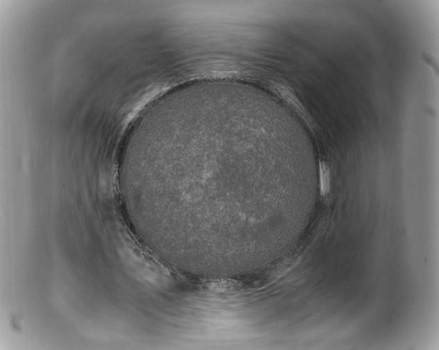 X0000099400579200805151707