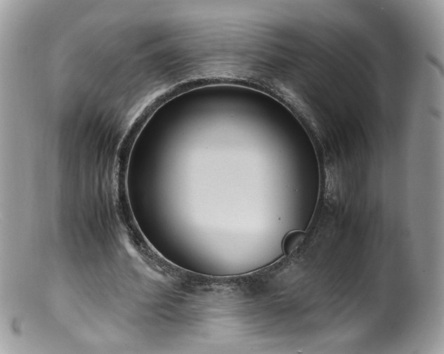 X0000099400580200805151707