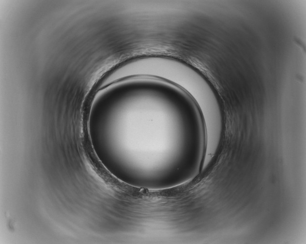 X0000099400582200805151707