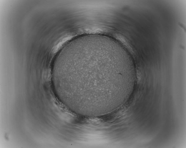 X0000099400583200805151707