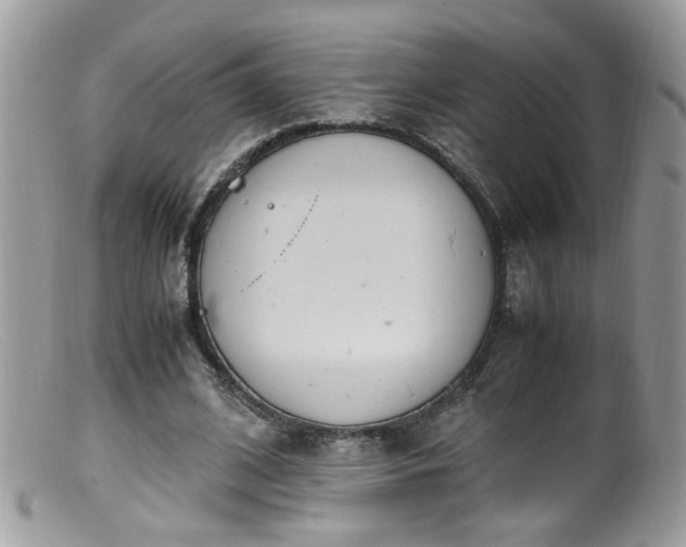 X0000099400584200805151707