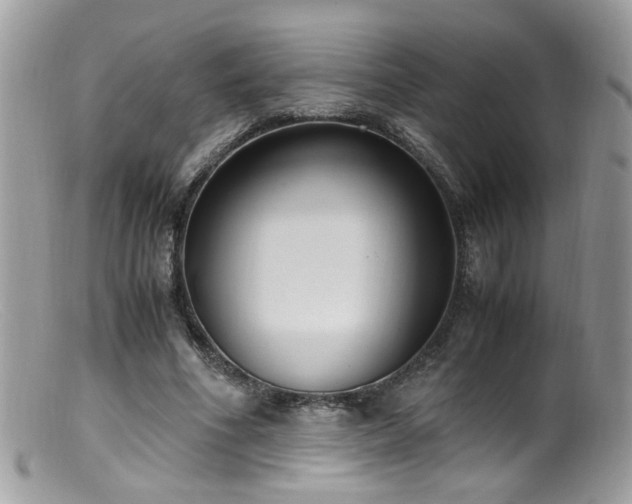 X0000099400586200805151707