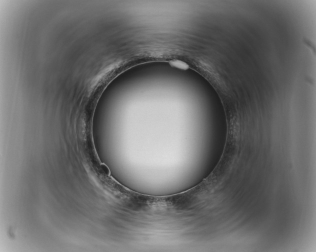 X0000099400587200805151707