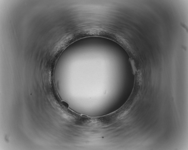 X0000099400589200805151707