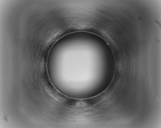 X0000099400591200805151707