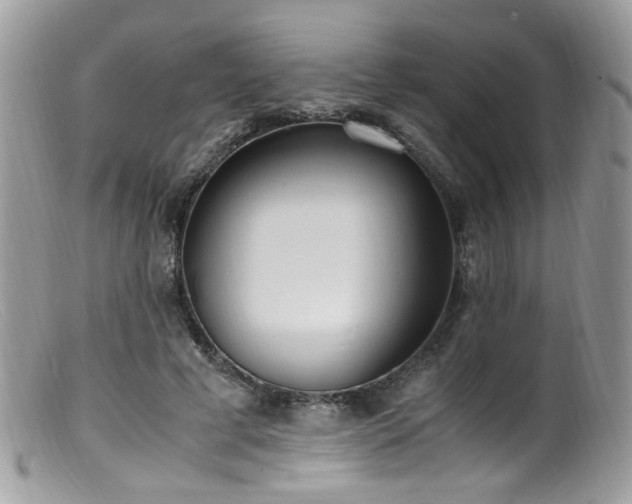 X0000099400593200805151707