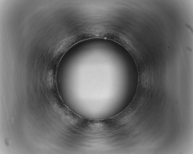 X0000099400594200805151707