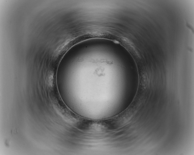 X0000099400596200805151707