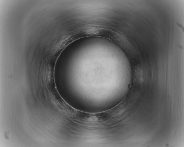 X0000099400600200805151707