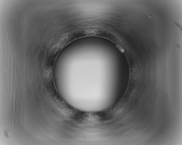 X0000099400601200805151707