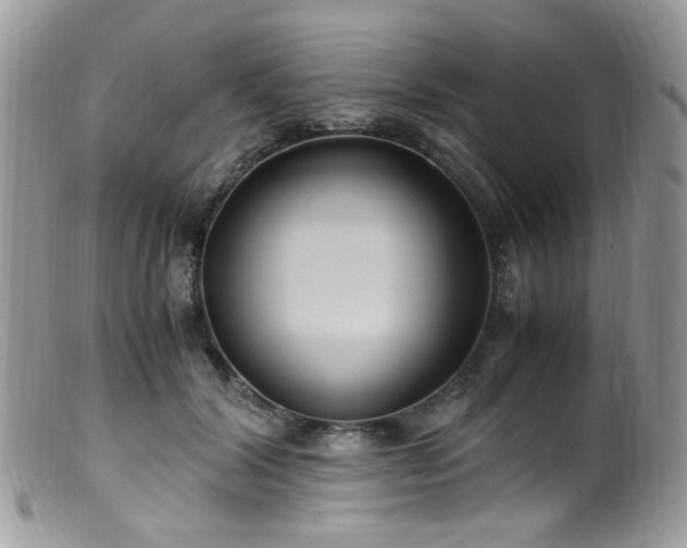 X0000099400604200805151707