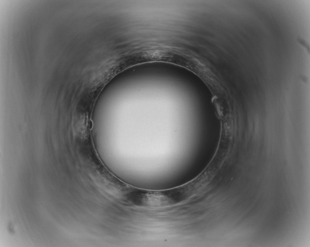 X0000099400605200805151707