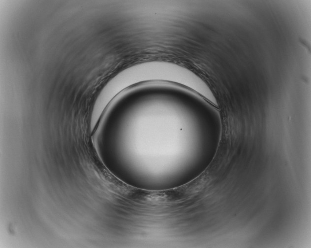 X0000099400606200805151707