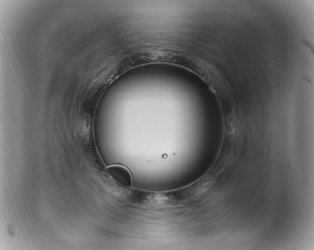 X0000099400607200805151707