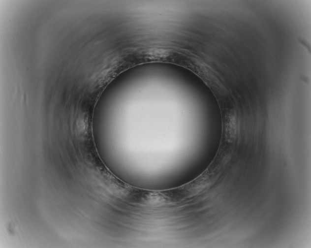 X0000099400608200805151707