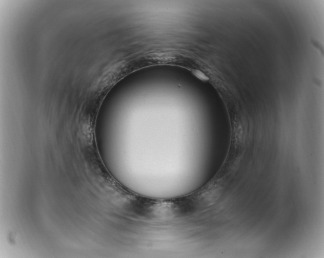 X0000099400609200805151707