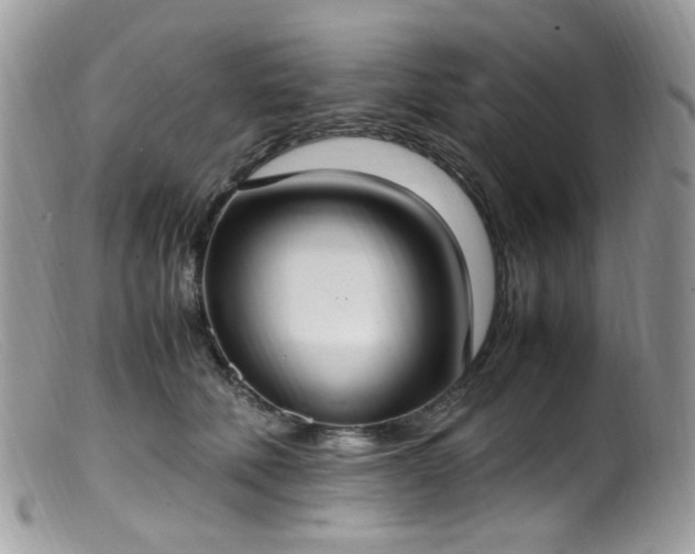 X0000099400610200805151707