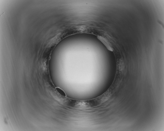 X0000099400611200805151707