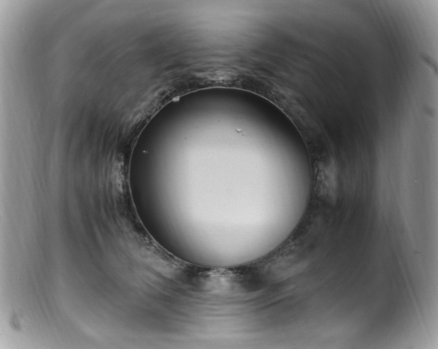 X0000099400612200805151707