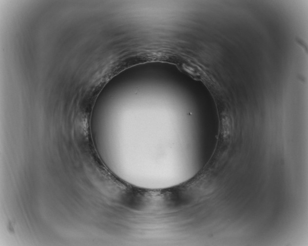 X0000099400613200805151707