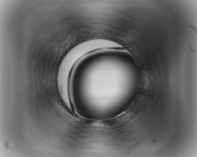 X0000099400614200805151707