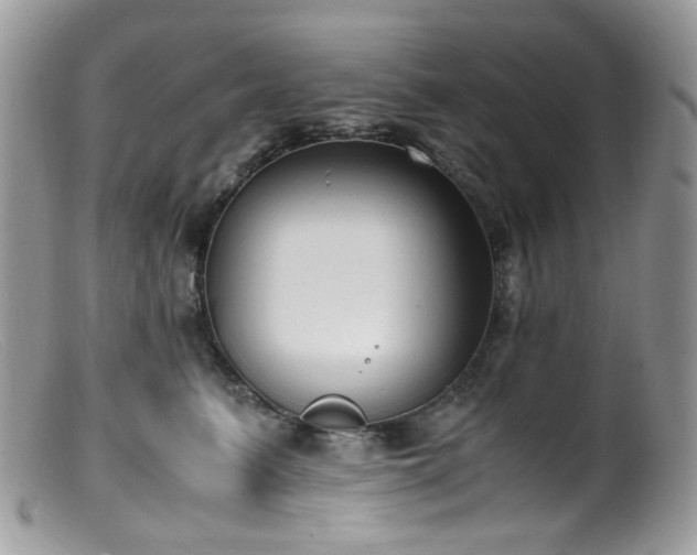 X0000099400615200805151707