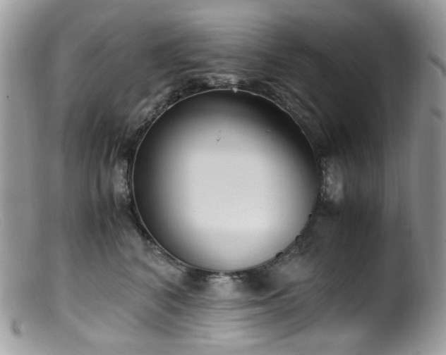 X0000099400616200805151707