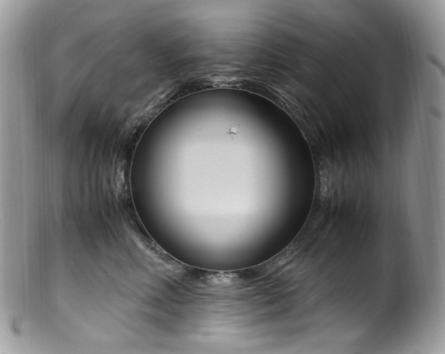 X0000099400618200805151707