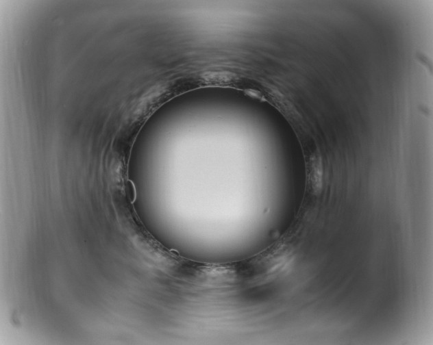 X0000099400619200805151707