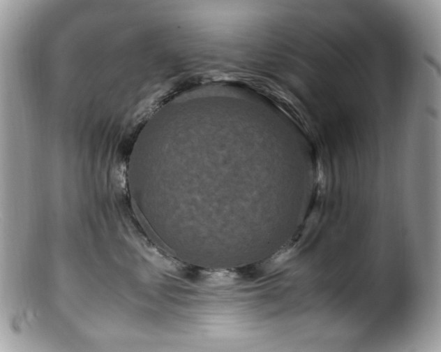 X0000099400621200805151707