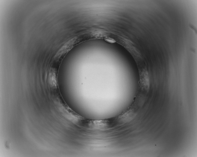 X0000099400622200805151707