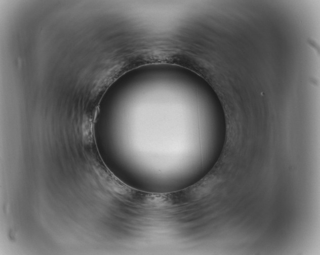 X0000099400624200805151707