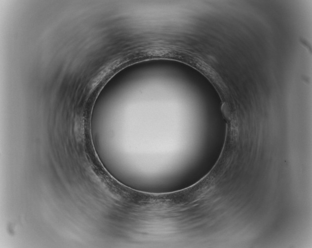 X0000099400626200805151706