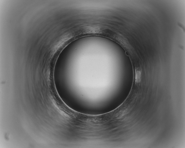 X0000099400627200805151706