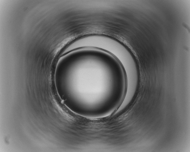 X0000099400629200805151706