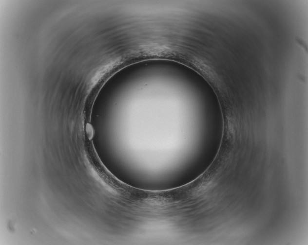 X0000099400630200805151706